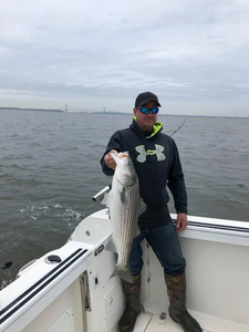 Belmar's Finest Striped Bass!